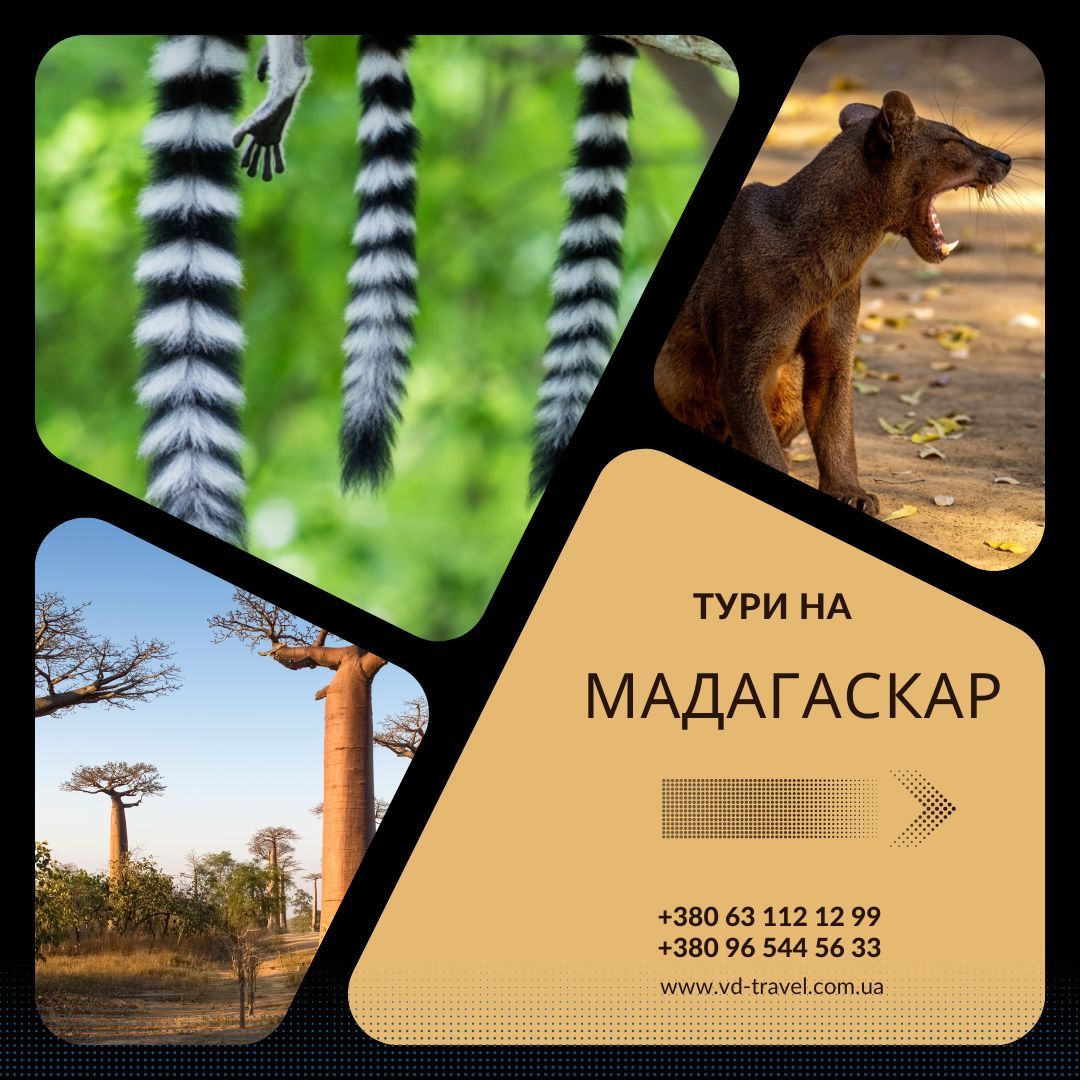 Мадагаскар - країна неймовірних вражень. Тури на Мадагаскар необхідно обирати ретельно, віхлдячи з того, що саме ви плануєте побачити: лемурів, баобаби, цинги ...
